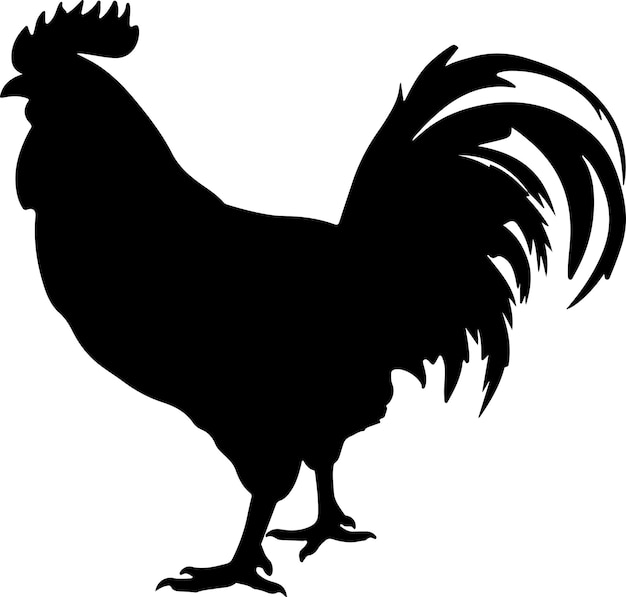 Vector ilustración vectorial de silueta de pollo con fondo blanco