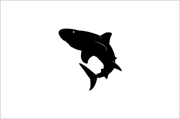 Ilustración vectorial de silueta de tiburón Diferentes tipos de tiburones Una silueta negra Vector