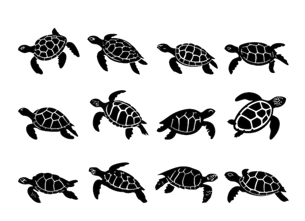 Ilustración vectorial de la silueta de la tortuga