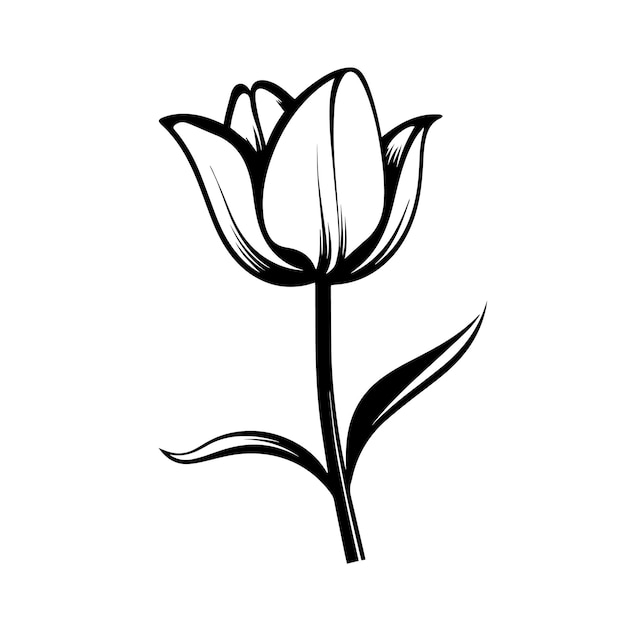 Ilustración vectorial de la silueta del tulipán Icono y signo de la silhouette del tulipán
