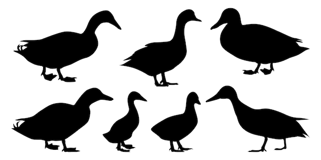 Ilustración vectorial de las siluetas de pato
