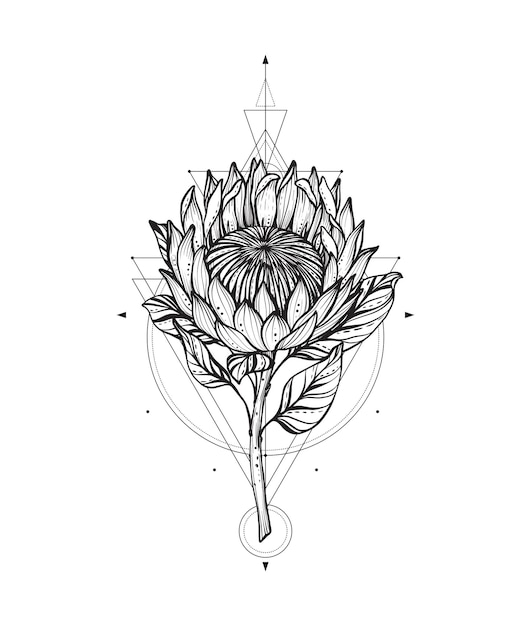 Ilustración vectorial de símbolos geométricos sacros de flor de protea en blanco y negro aislados sobre fondo blanco