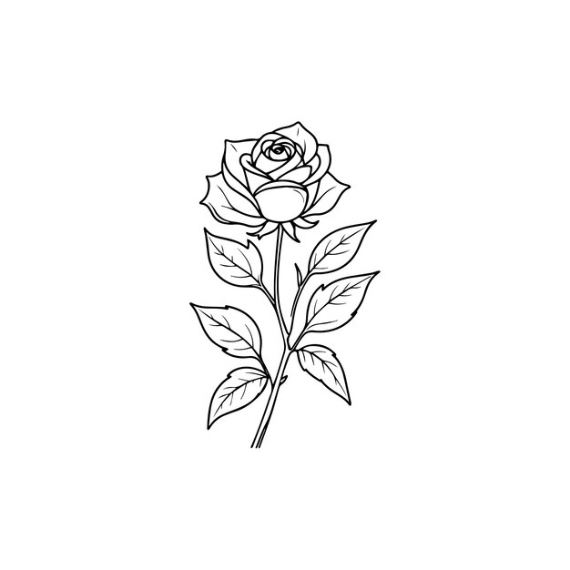 Una ilustración vectorial de una sola rosa elegante con hojas de rosa rizadas