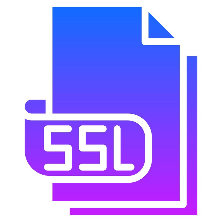 Vector ilustración vectorial de ssl