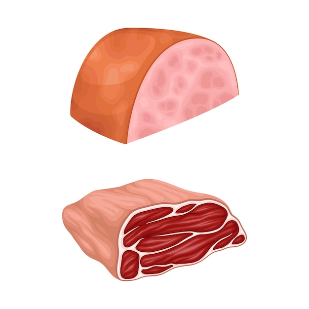 Ilustración vectorial del surtido de productos de carne de carnicería