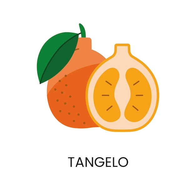 Ilustración vectorial de Tangelo que transmite jugosidad y color vibrante Ideal para diseños frescos y animados