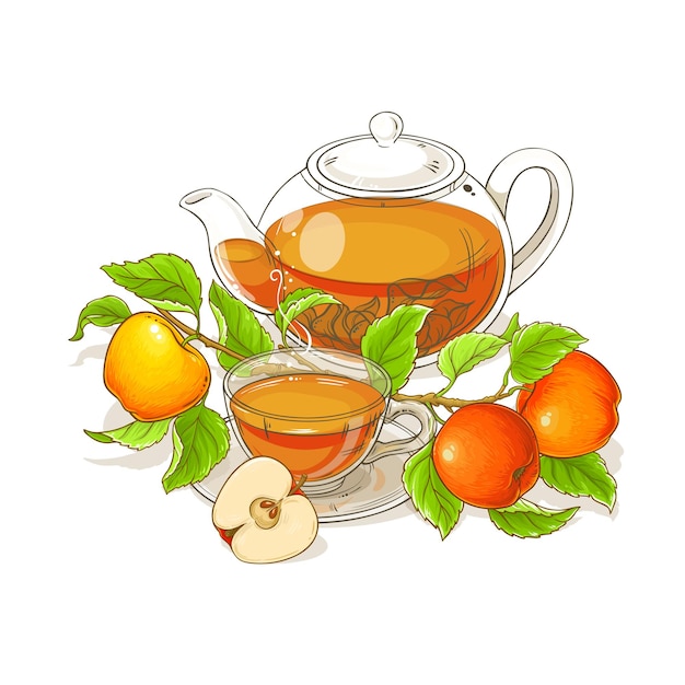 Ilustración vectorial de té de manzana sobre fondo blanco
