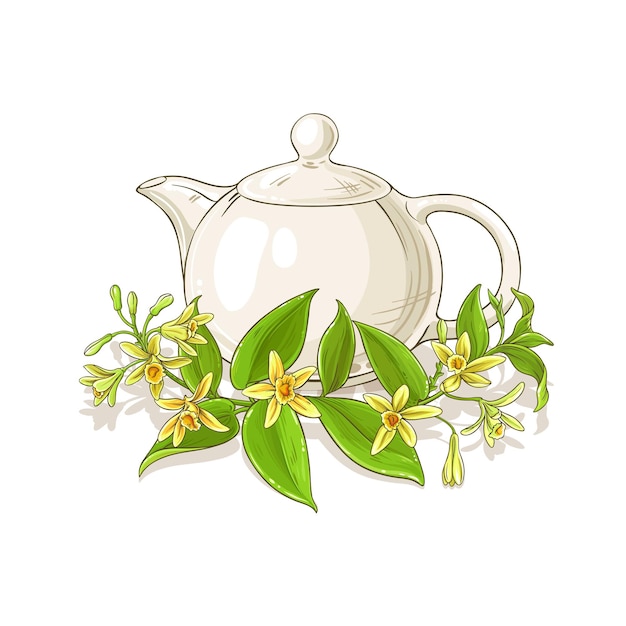 Ilustración vectorial del té de vainilla