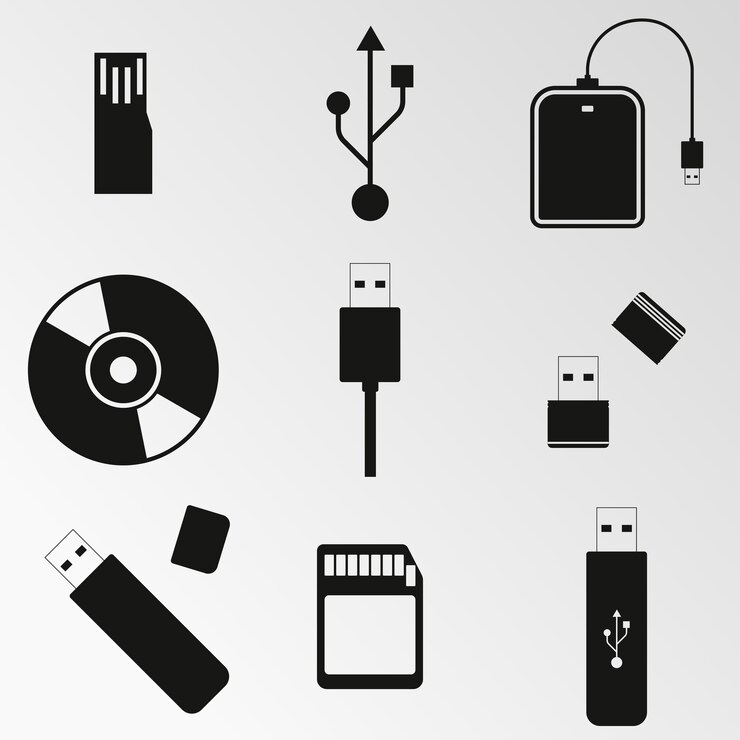 Vector ilustración vectorial en el tema disco de computadora usb