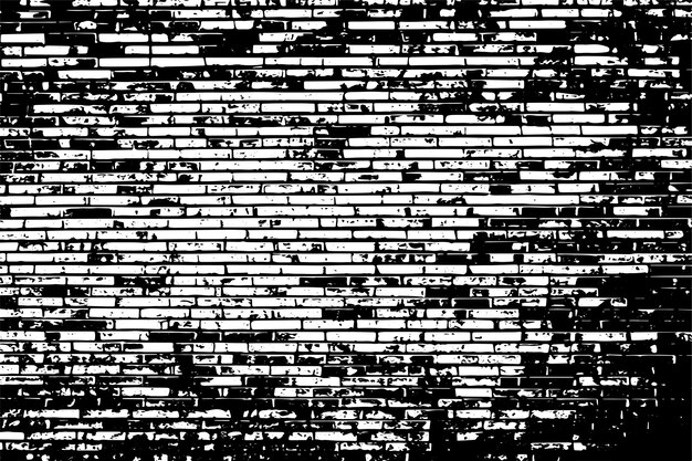 Ilustración vectorial de textura aleatoria en blanco y negro superposición monocromática textura de fondo grunge