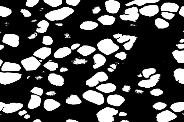Vector ilustración vectorial de la textura en blanco y negro