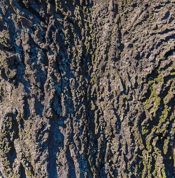Ilustración vectorial de la textura de la corteza de la fruta de moreno Textura de la cortez de la frute de moreno fondo del tronco del árbol de moreno Celtis occidentalis