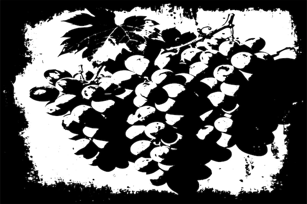 Ilustración vectorial de la textura grungy negra de las uvas