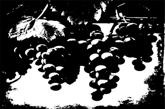 Ilustración vectorial de la textura grungy negra de las uvas