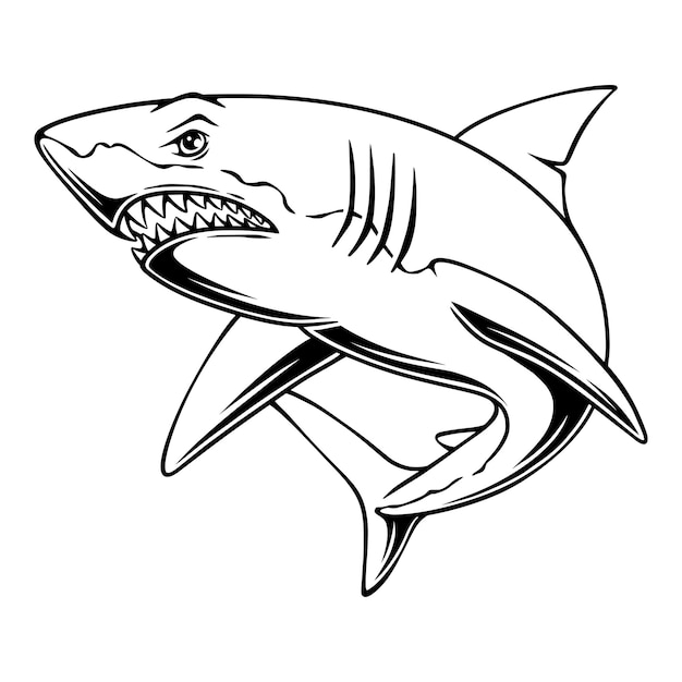 Ilustración vectorial Tiburón con posición de caza de presas diseño en blanco y negro