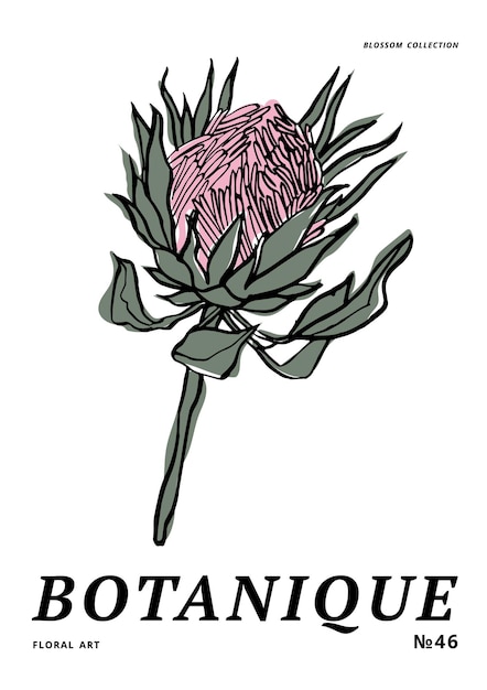Ilustración vectorial tinta carteles florales con flores de protea Arte para para impresiones arte de pared fondo de estandarte.