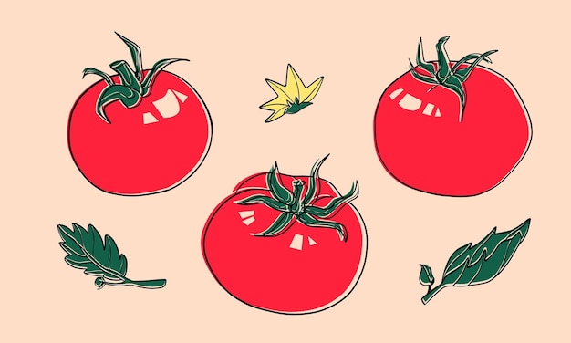 Ilustración vectorial de tomate rojo retro en efecto de grabado en lino o riso Ilustración de estilo vintage