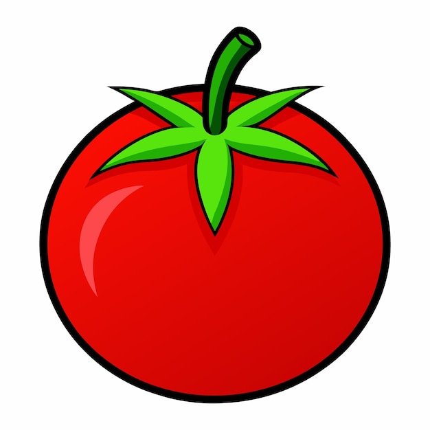 Ilustración vectorial del tomate rojo