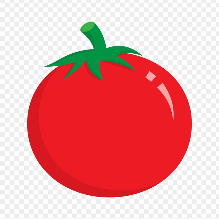 Vector ilustración vectorial de un tomate sobre un fondo transparente