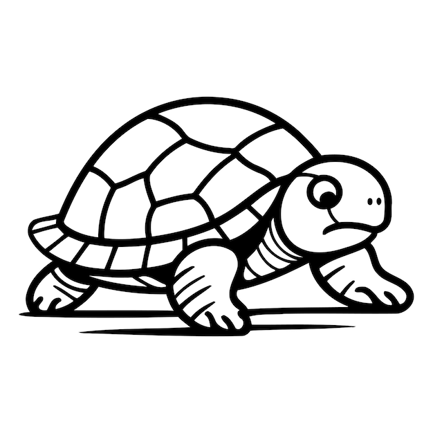 Vector ilustración vectorial de tortuga aislada en un fondo blanco estilo dibujos animados