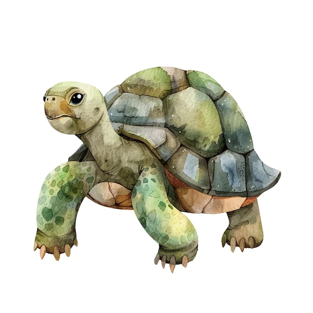 Vector ilustración vectorial de tortuga en estilo acuarela