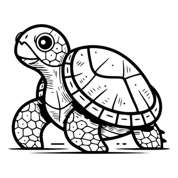Vector ilustración vectorial de tortugas animales marinos de dibujos animados ilustración vectoria de tortugas