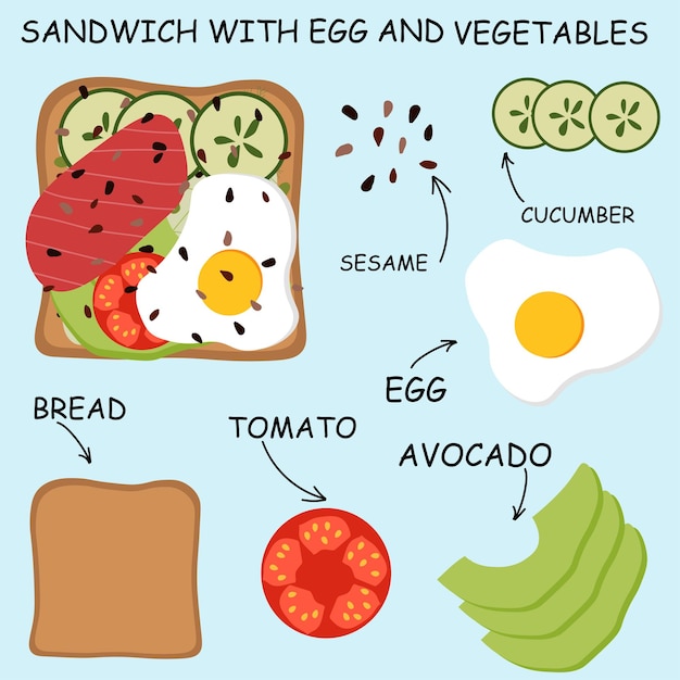 Ilustración vectorial de tostadas con huevo y verduras composición ilustrada de tostadas de sándwich