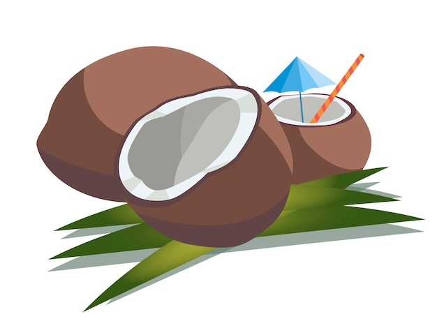 Vector ilustración vectorial de tres cocos, enteros, partidos por la mitad y picados con paja y paraguas