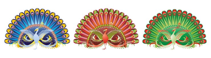 Vector ilustración vectorial de tres pavos reales decorativos de colores con alas abiertas y colas aisladas