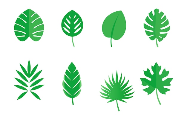 Ilustración vectorial tropical de las hojas florales