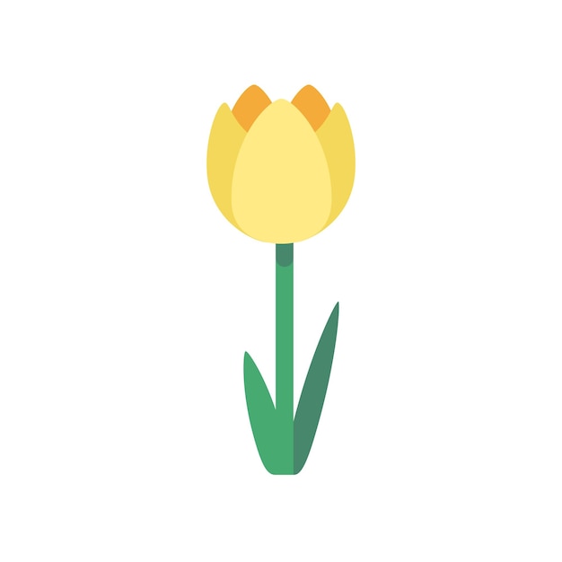 Ilustración vectorial del tulipán