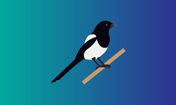 Vector ilustración vectorial de una urraca