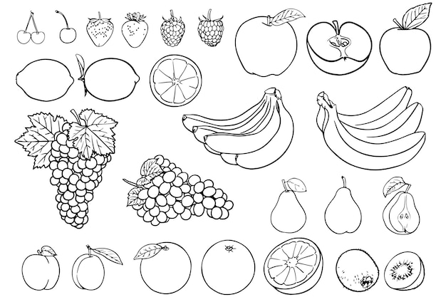 Vector ilustración vectorial de varias frutas hay frambuesa ciruela pera melocotón naranja uvas kiwi l