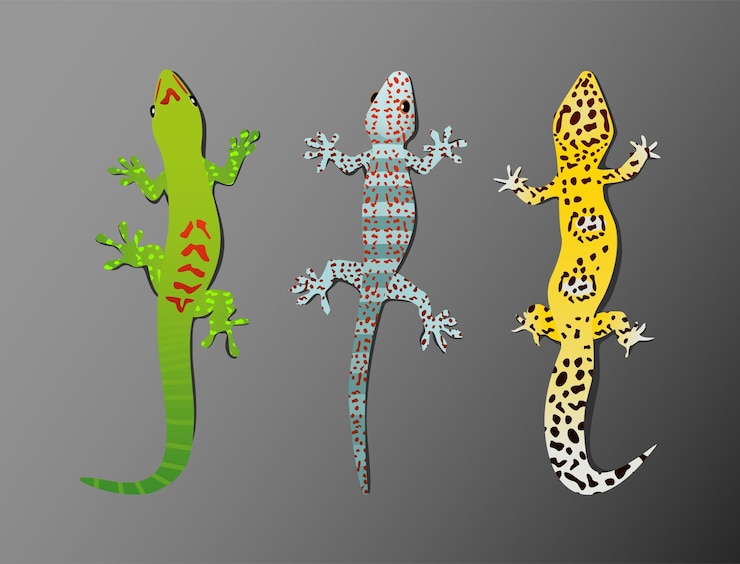 Vector ilustración vectorial de varios tipos de reptiles gecko en un conjunto