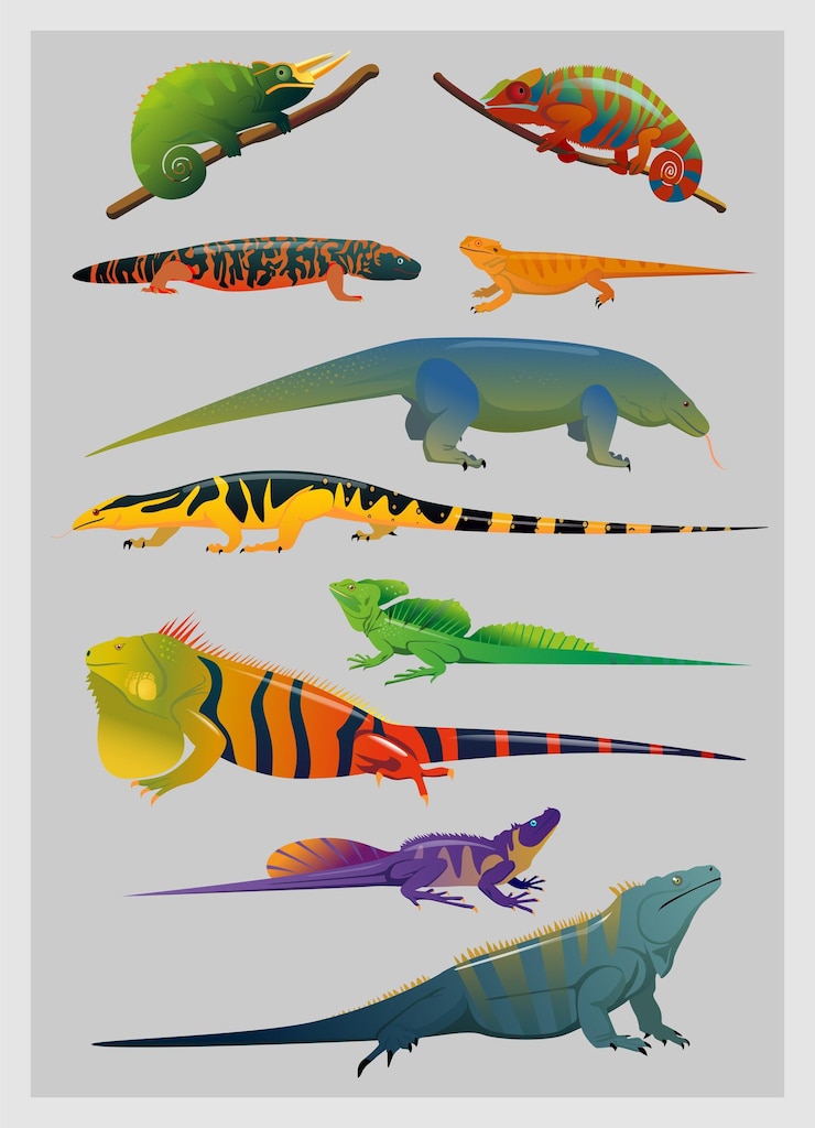 Vector ilustración vectorial de varios tipos de reptiles o lagartos en un conjunto