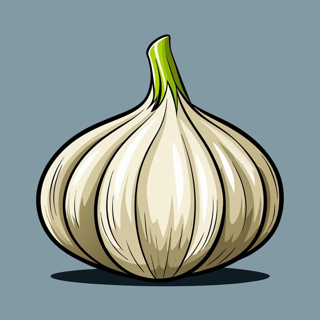 Ilustración vectorial de verduras de ajo fresco Arte digital