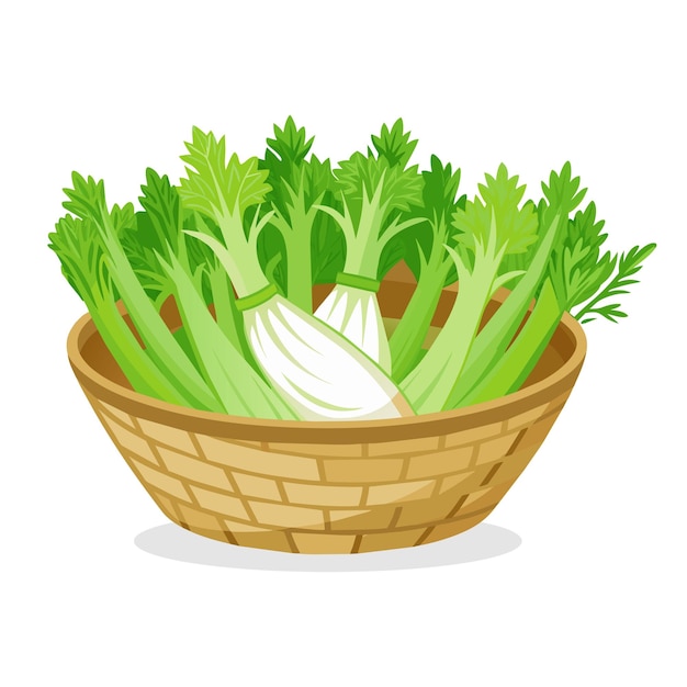Ilustración vectorial de verduras de hojas verdes de hinojo en un arbusto