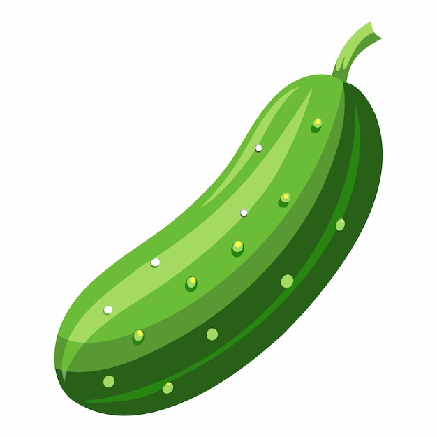 Ilustración vectorial de verduras de pepino verde fresco