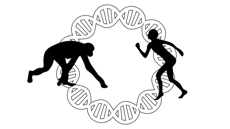 Vector ilustración vectorial del vínculo genético entre un humano y un mono