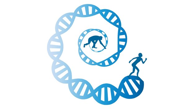 Ilustración vectorial del vínculo genético entre un humano y un mono