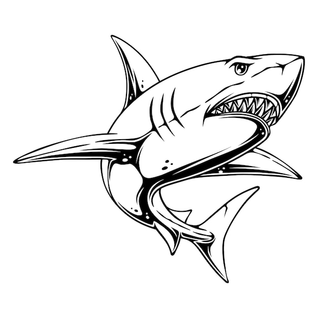 Ilustración vectorial Vista lateral de un tiburón con su posición de caza de presas en el agua diseño en blanco y negro
