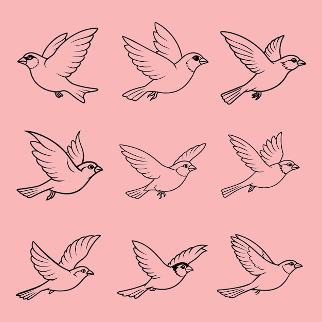 Ilustración vectorial de vuelo del gorrión de la casa