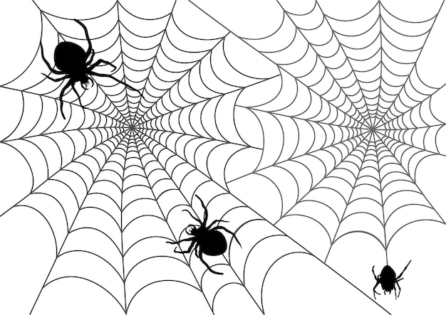 La ilustración vectorial de web y araña sobre fondo blanco.