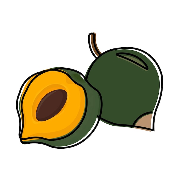 Ilustración Vectorización Logo Clipart simple dibujos animados súper alimento Pouteria lucuma