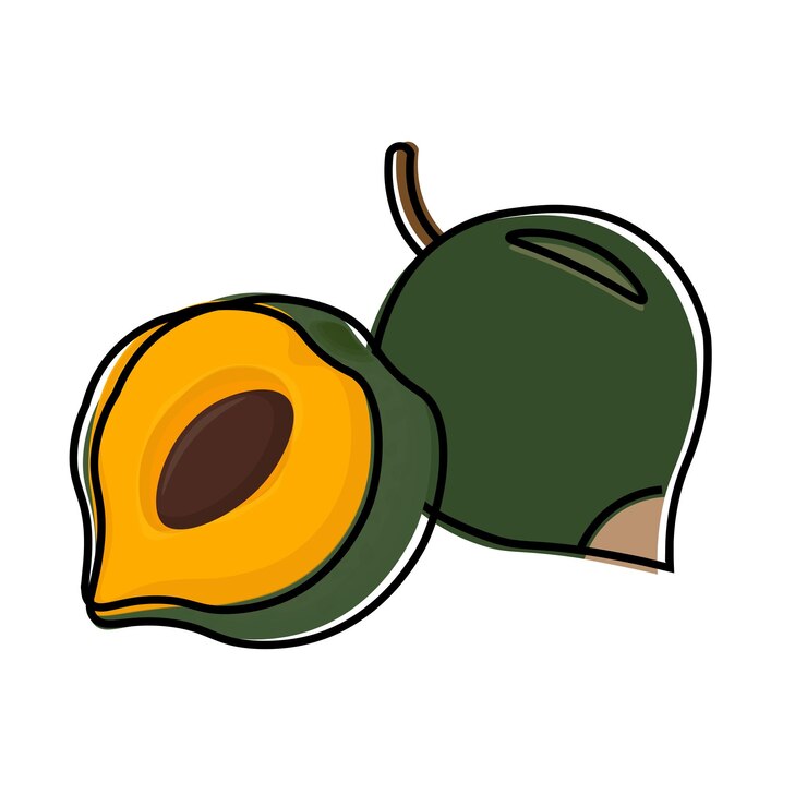 Ilustración Vectorización Logo Clipart simple dibujos animados súper alimento Pouteria lucuma