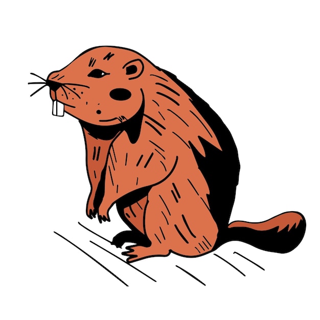 Ilustración vectorizada dibujada a mano con castor aislado en fondo blanco boceto con bosque salvaje
