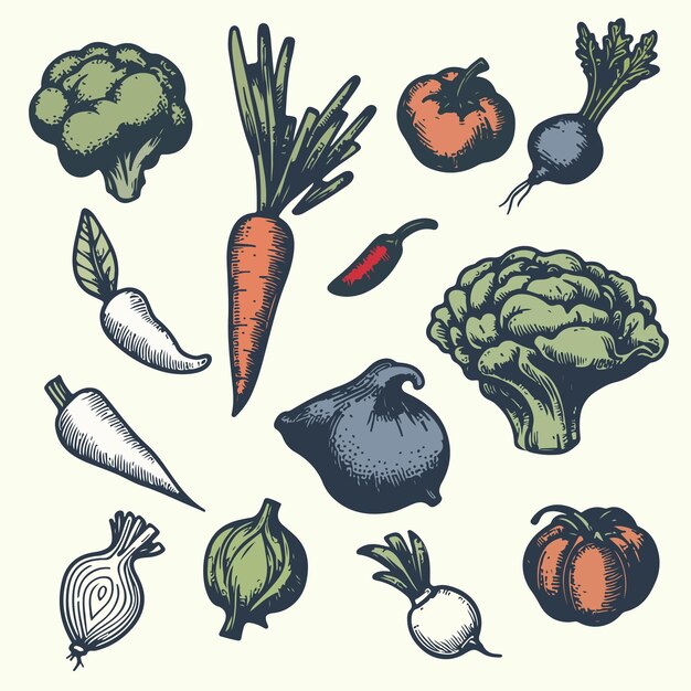 Ilustración vegetal dibujada a mano