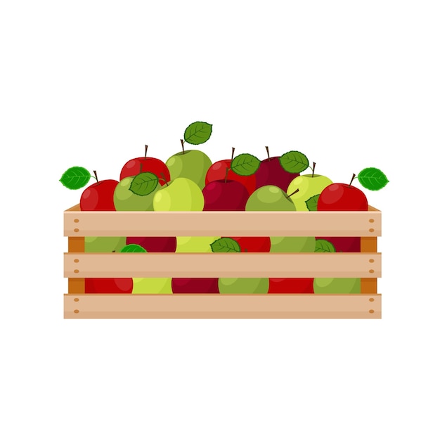 Una ilustración de verano brillante que representa una caja de madera con manzanas verdes y rojas maduras La cosecha cosechada de manzanas jugosas en una caja de madera Ilustración vectorial aislada en un fondo blanco