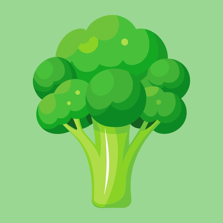 Vector ilustración de las verduras de brócoli romanesco frescas verdes