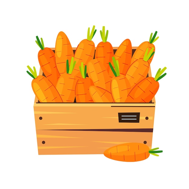 Vector ilustración de verduras frescas en una caja